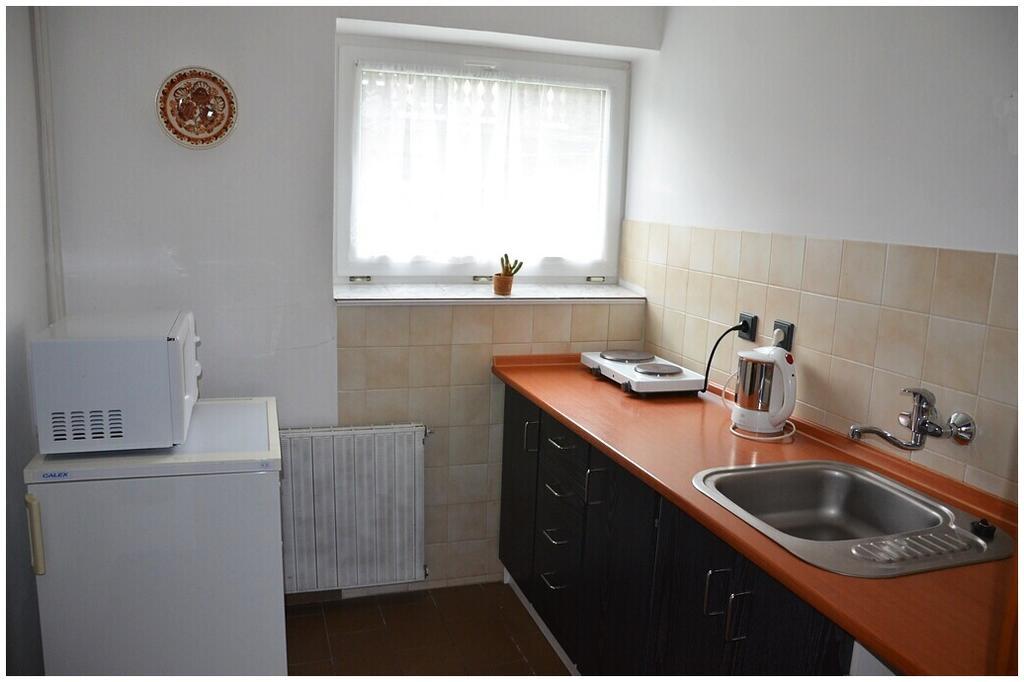 Apartment Dvoracek *