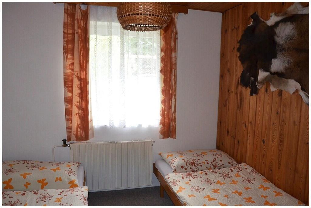 Apartment Dvoracek