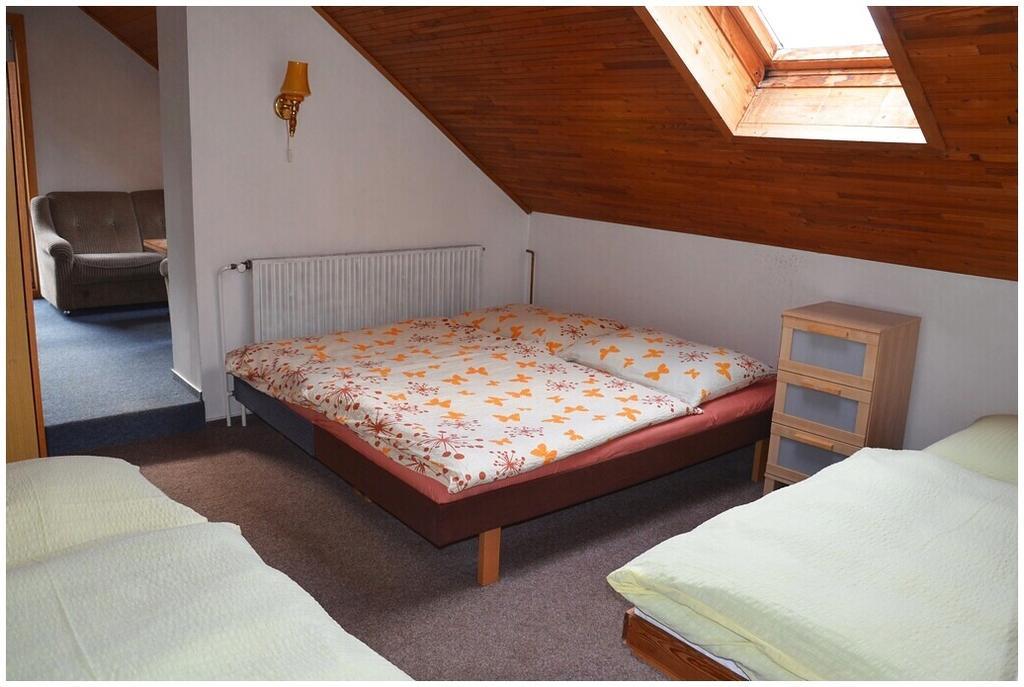 Apartment Dvoracek