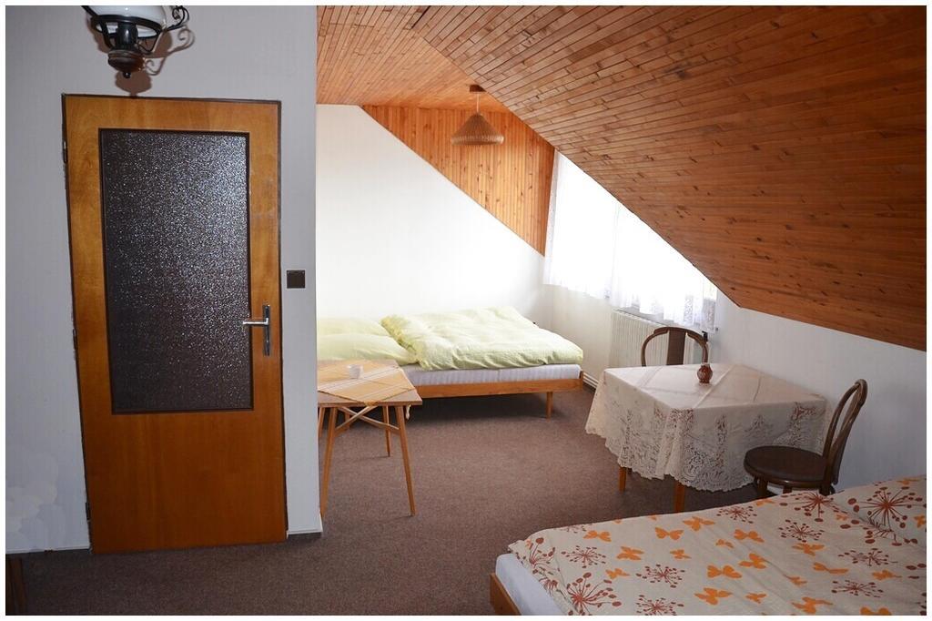 Apartment Dvoracek *